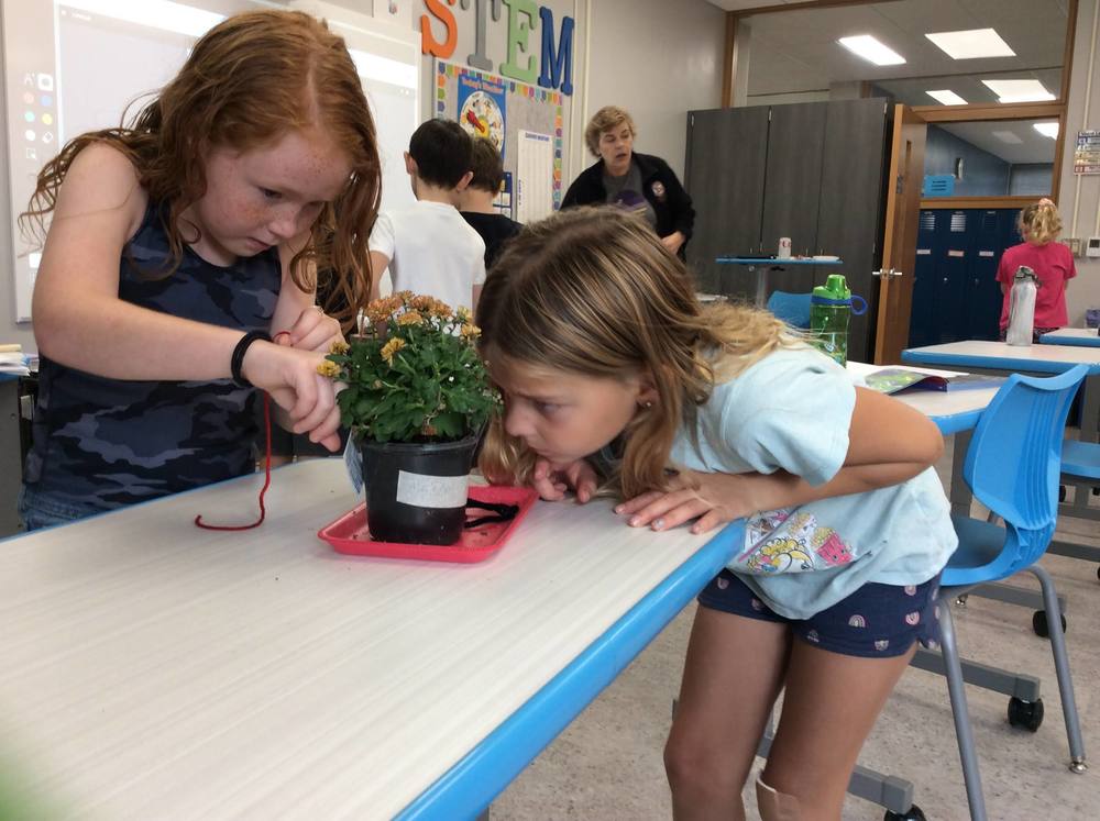 Options STEM Class