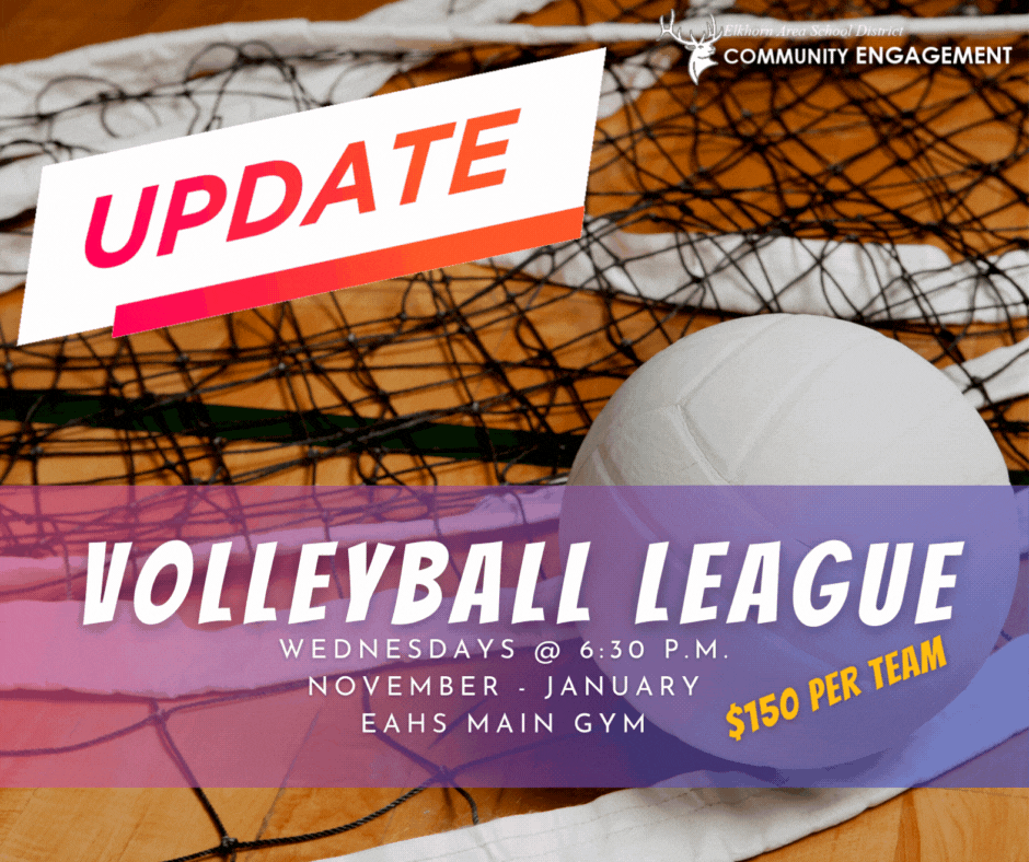 Volleyball and net