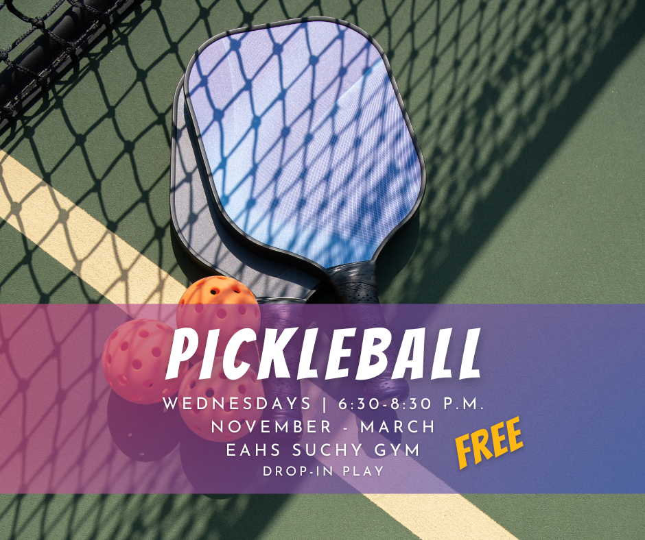 Pickleball paddle and balls behind net