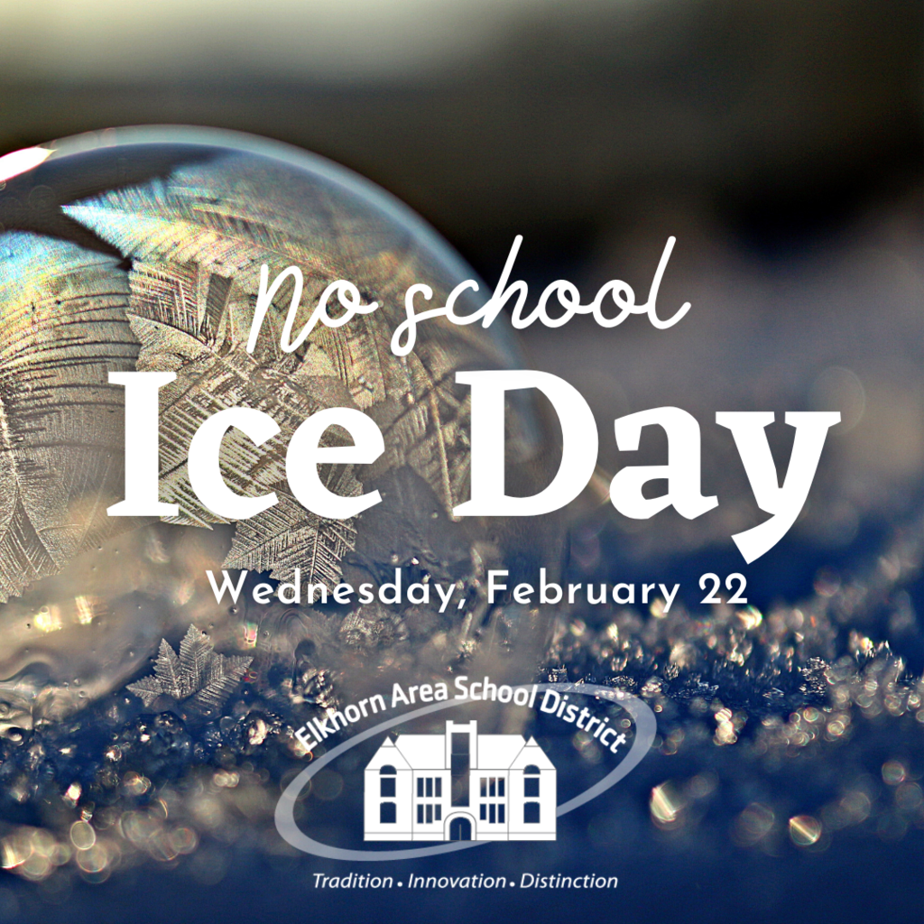 Ice Day