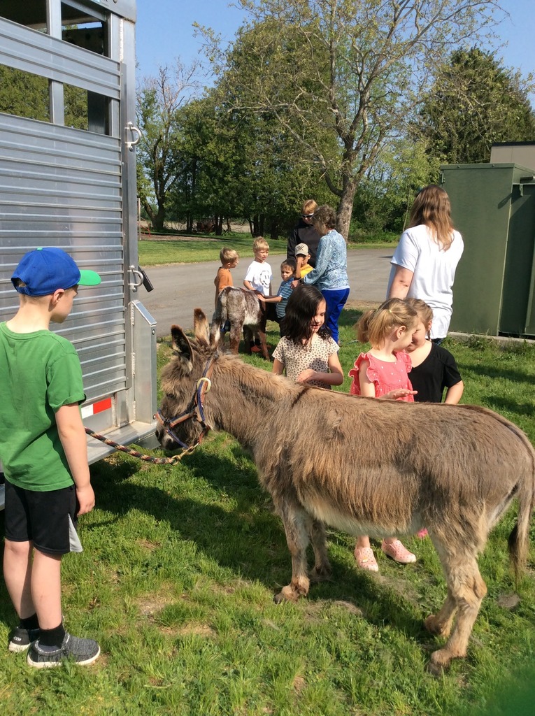 FARM ANIMAL VISIT