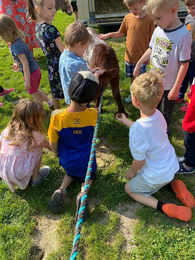 FARM ANIMAL VISIT